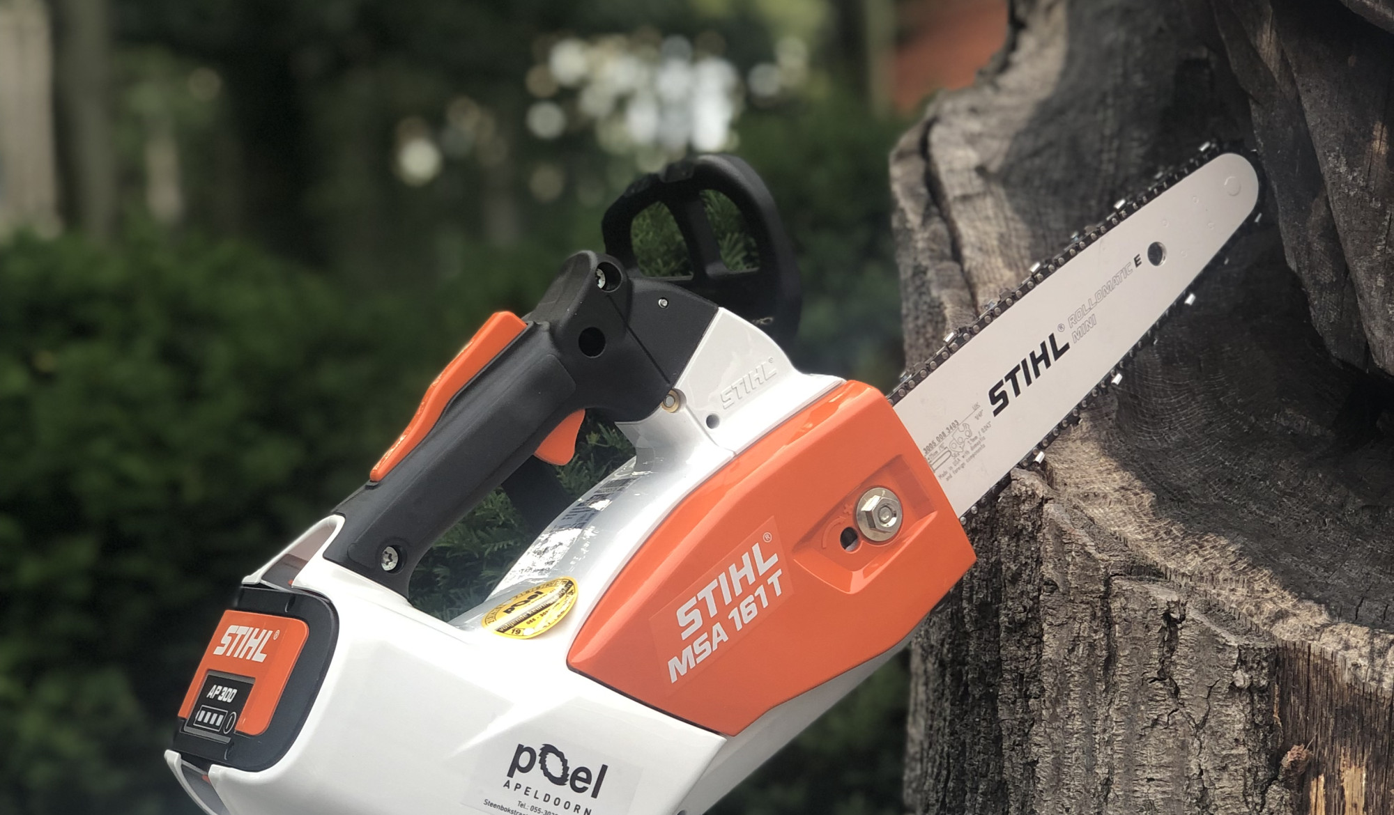 Inzet elektrische kettingzaag | Mijn Tuin